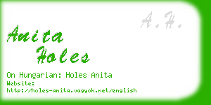 anita holes business card